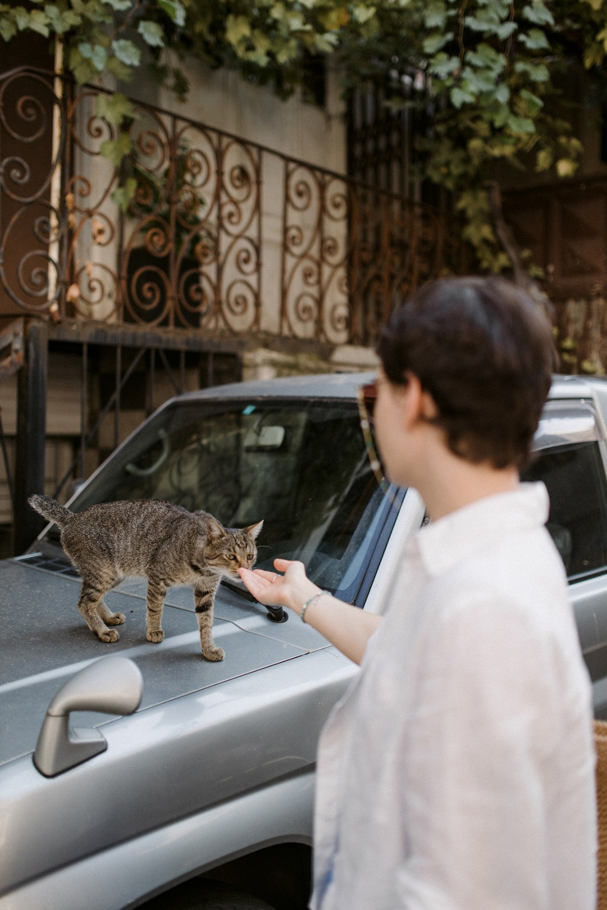 Tanya. Anastasia Blud Photography