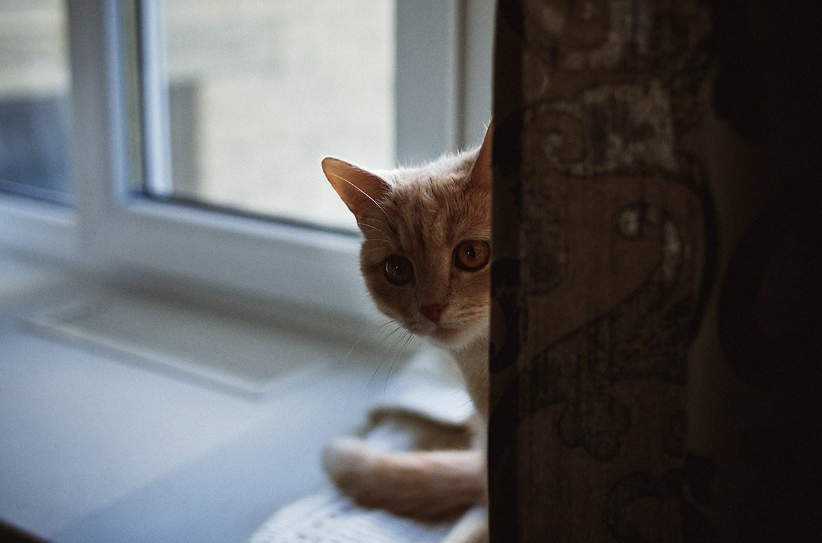 Свадебная прогулка Алекса и Даши. Фотограф крещение венчание в Петербурге! Помогает подобрать храм и посоветовал душевного батюшку в СПб