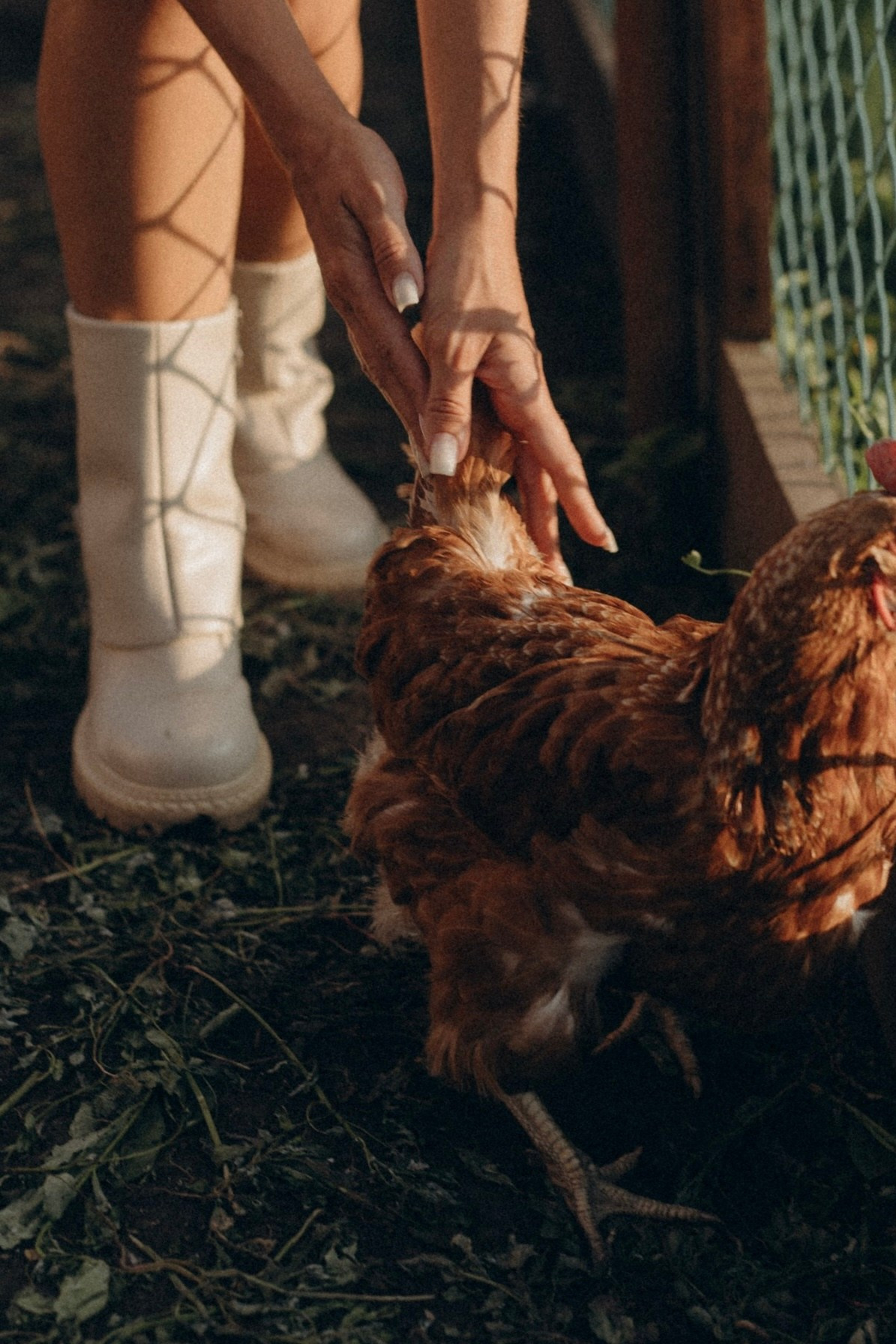 Индивидуальные