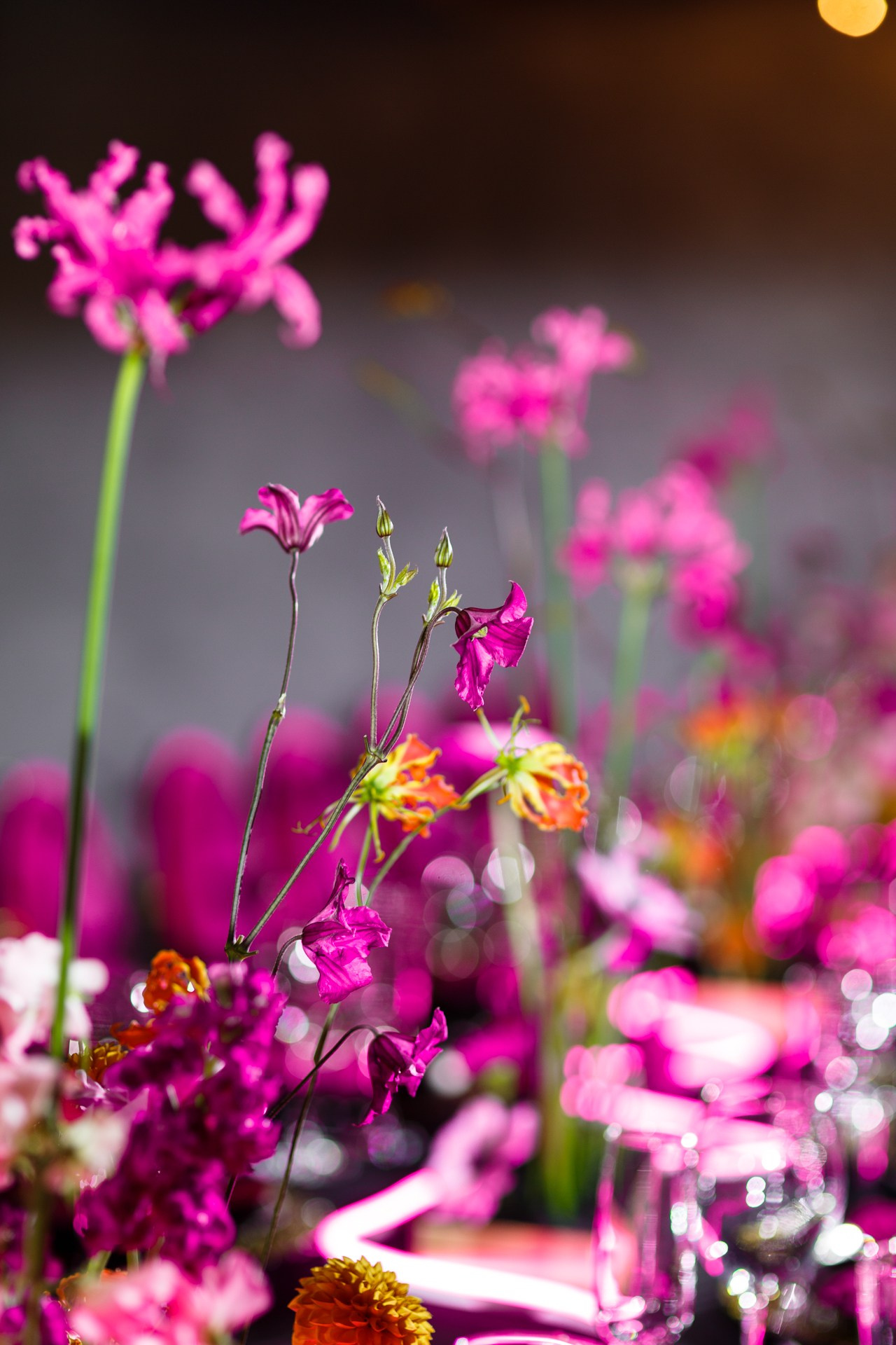 Pink neon. Свадебный фотограф в Санкт-Петербурге Наталья Вендт