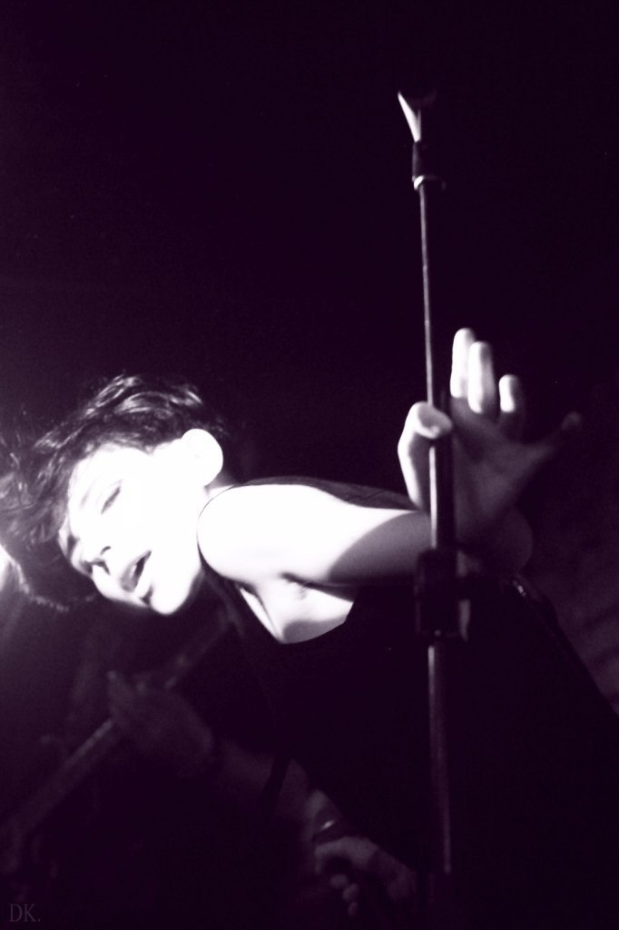 The Jack Wood, Scofferlane. Фотограф Дарья Комарова