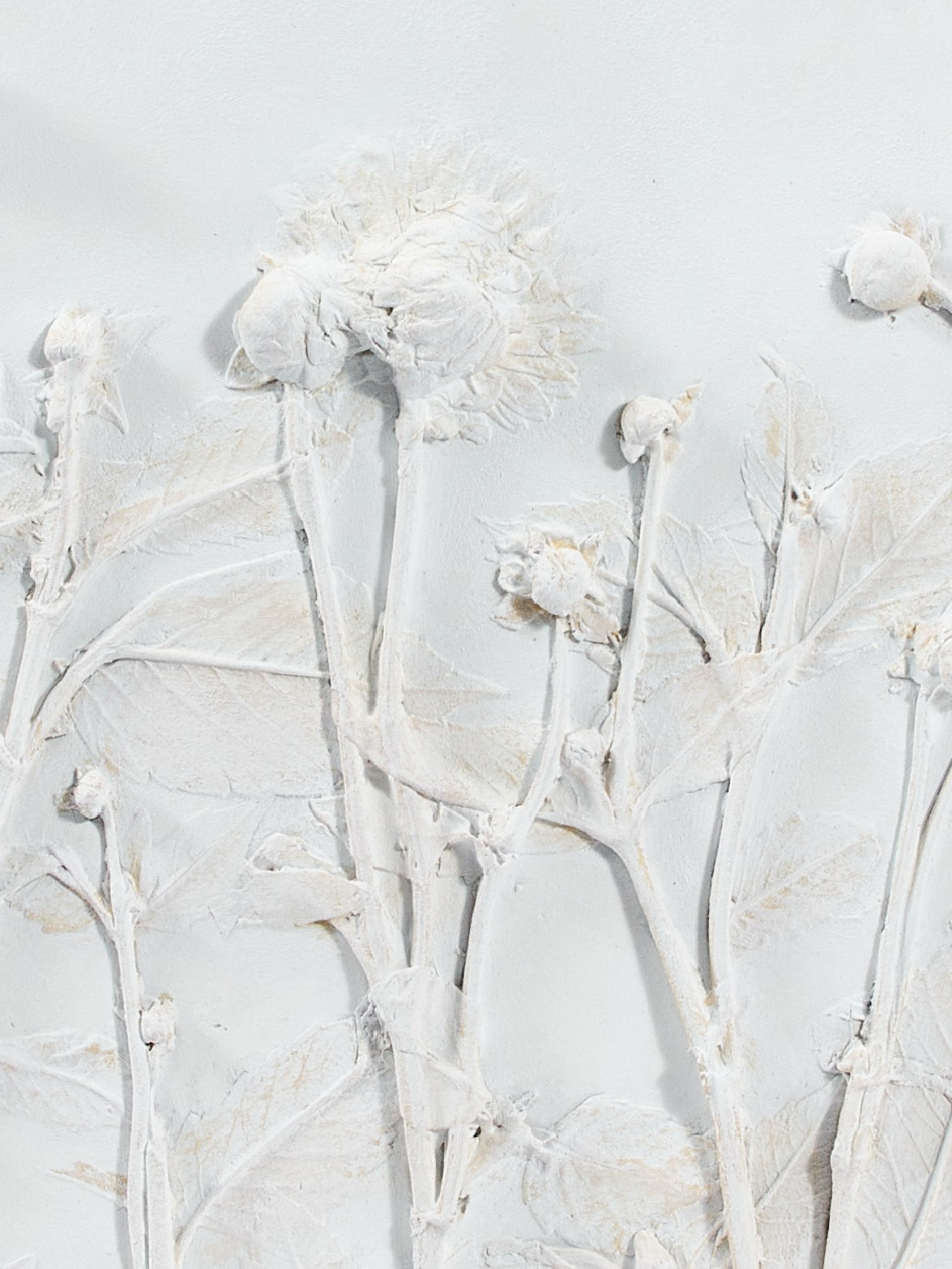 Panno. Andrew Valmus