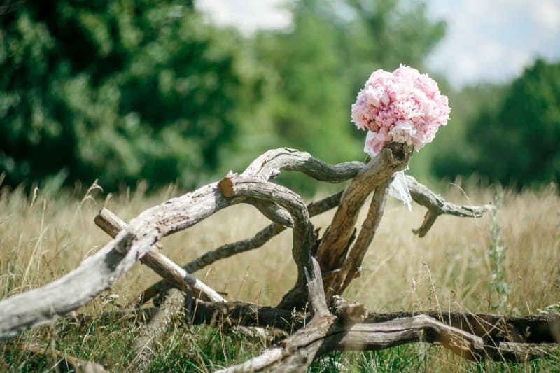 Свадебный фотограф Казань. Фотограф Ильхам Сибгатуллин Казань