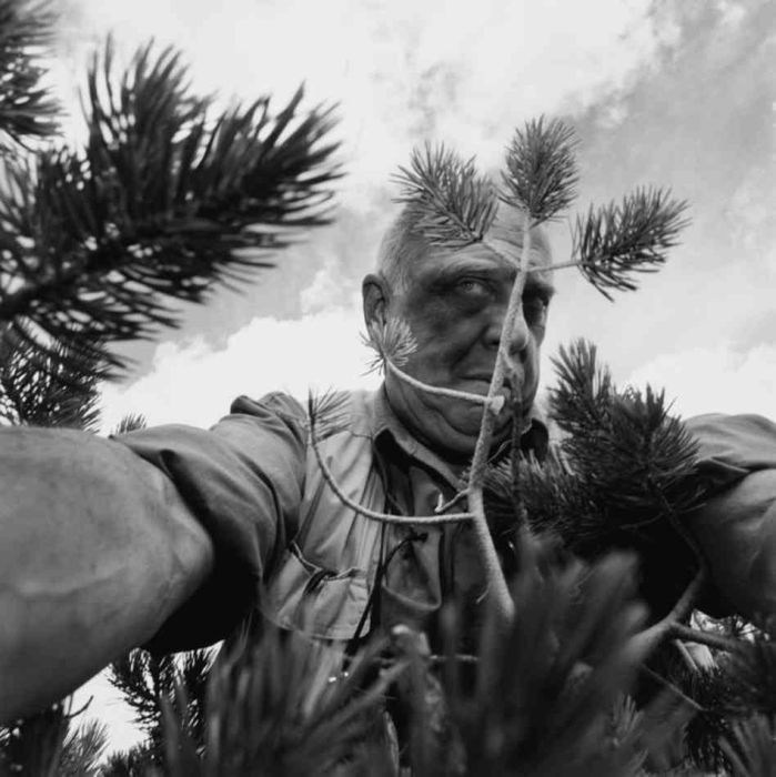 Ли Фридлендер (1934-по настоящее) — американский фотограф и художник, известный уникальным подходом к автопортрету.