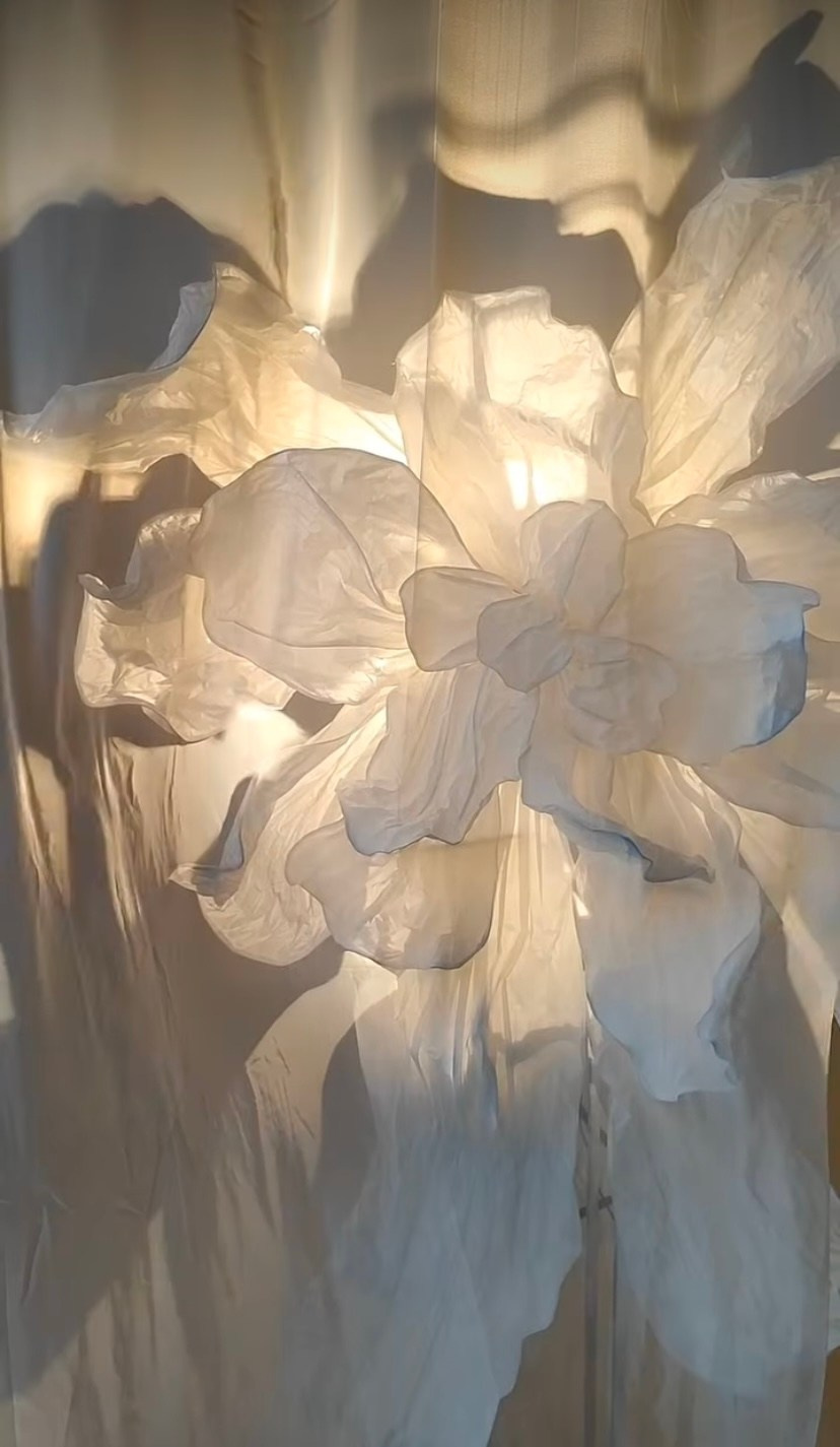 LOFT 2.0 (Зал «Циклорама»). Семейный и свадебный фотограф в Воронеже Майя Добровольская