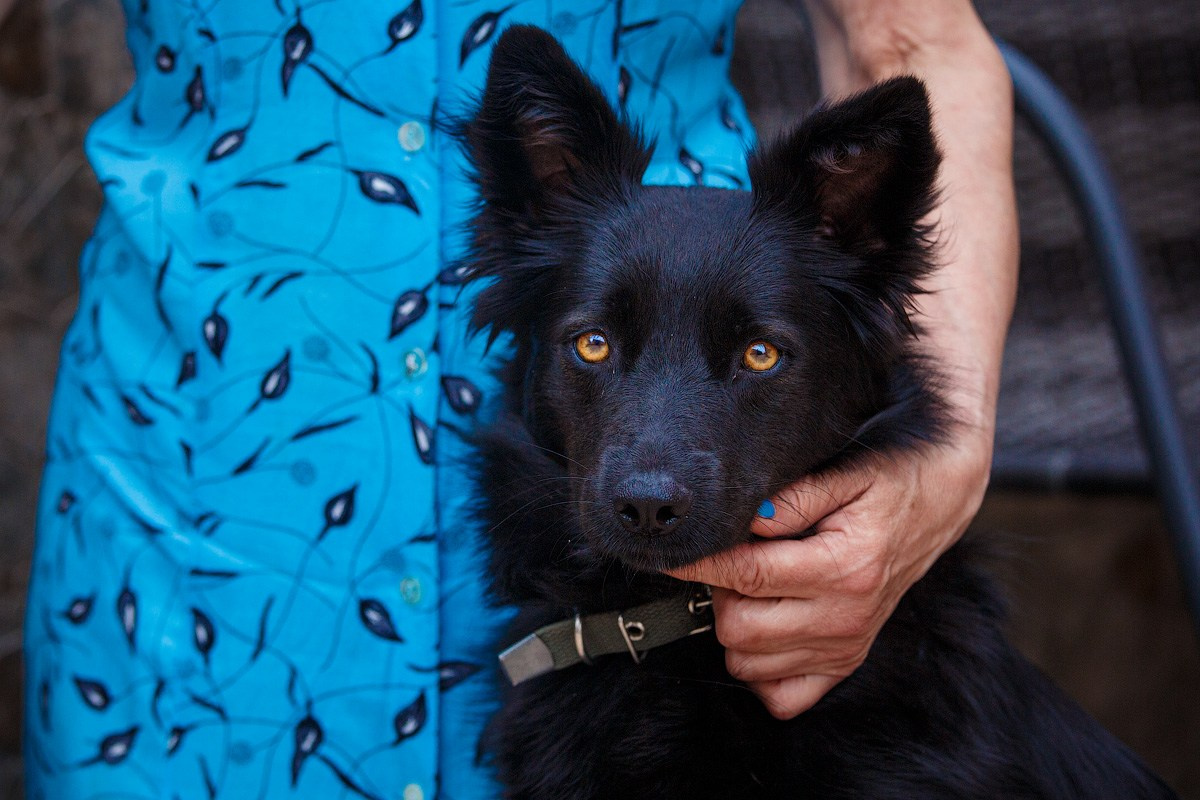 Музыка и покер