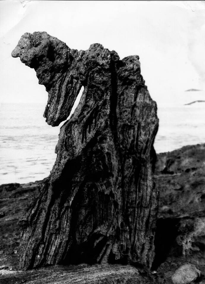 Татьяна Колбатова