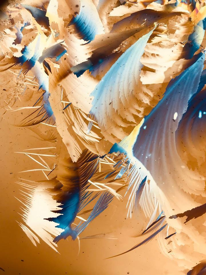 Наталья Яковлева