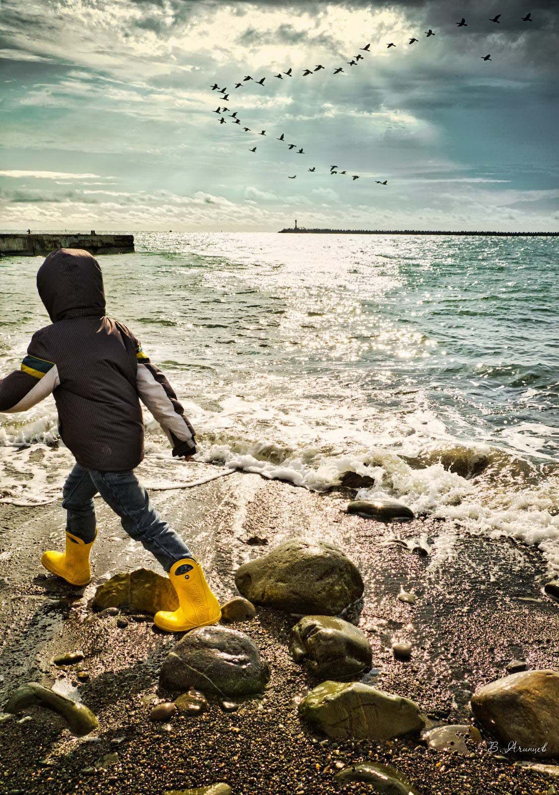 Художественная фотография. Фотограф в Сочи Владимир Ачинцев