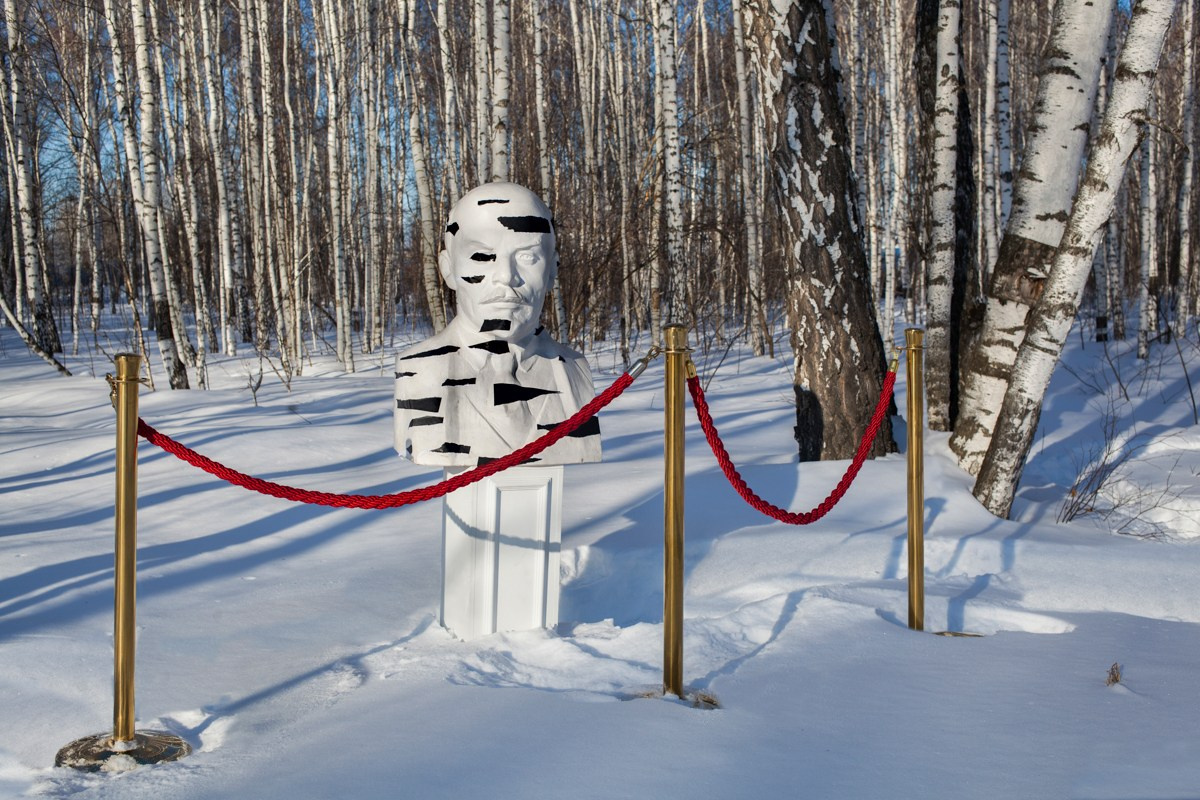 Birch people. Янина болдырева Yanina Boldyreva