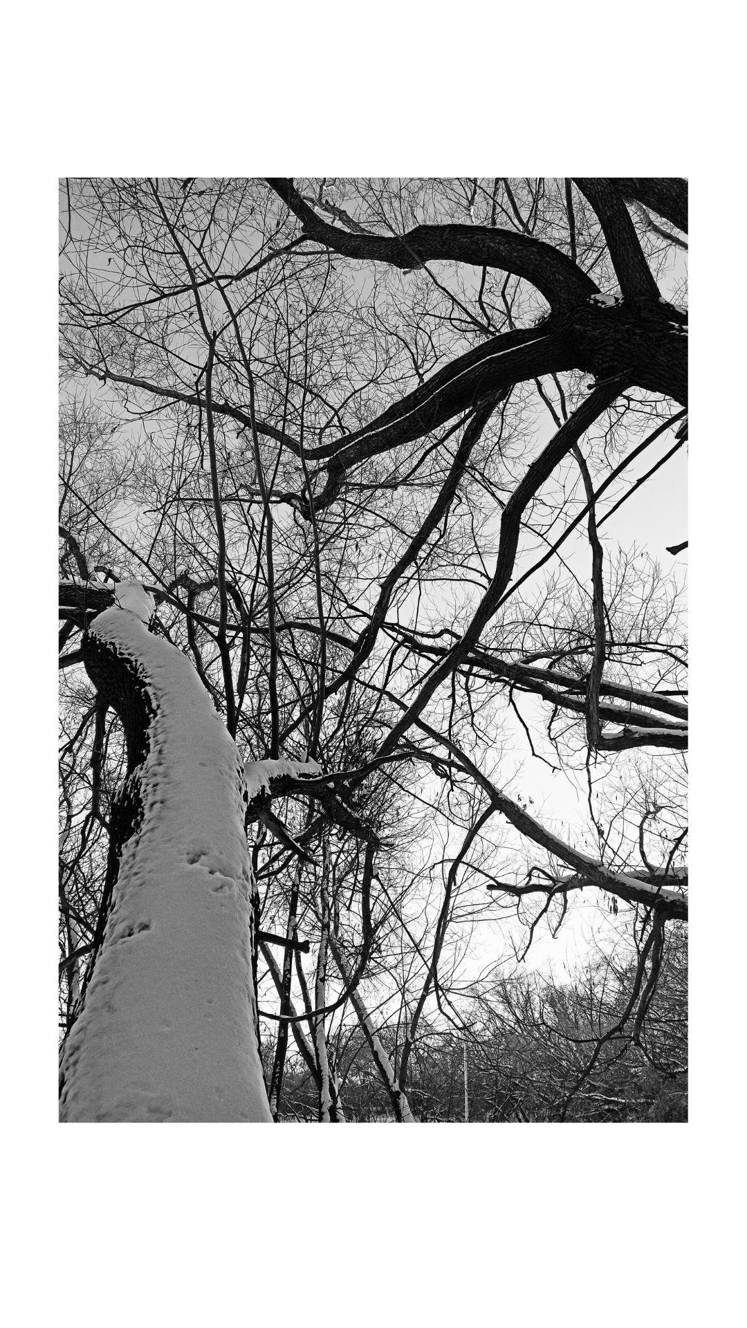 Зима по-сибирски. Главная