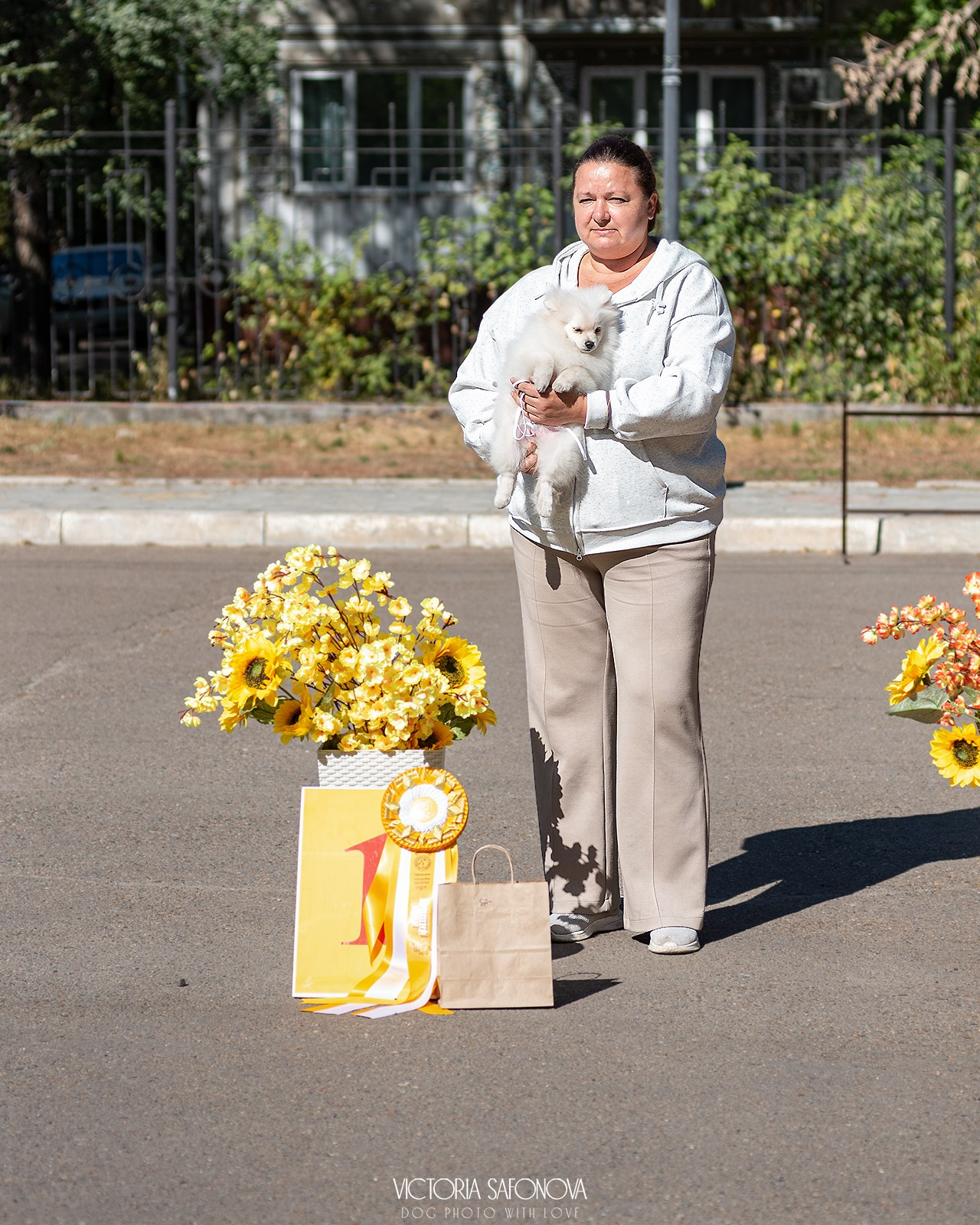 15 сентября 2024. Благовещенск. Монопородная выставка шпицев. Фотограф анималист Благовещенск. Сафонова Виктория