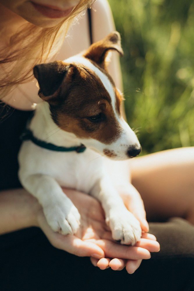 Ира и Бустик. Семейный и детский фотограф в Рязани Екатерина Воронцова