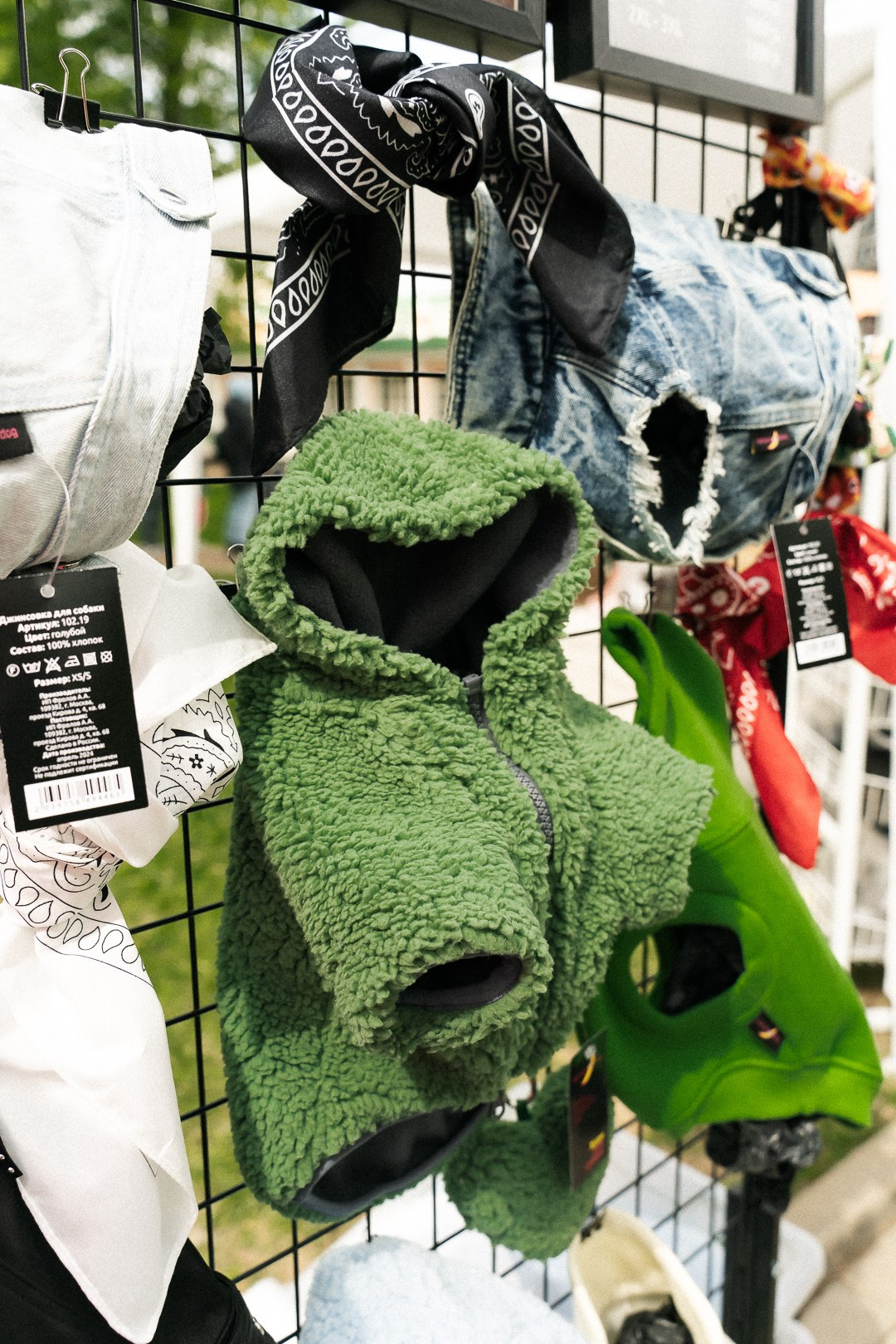 Парад Бульдогов. Axenov_eugene