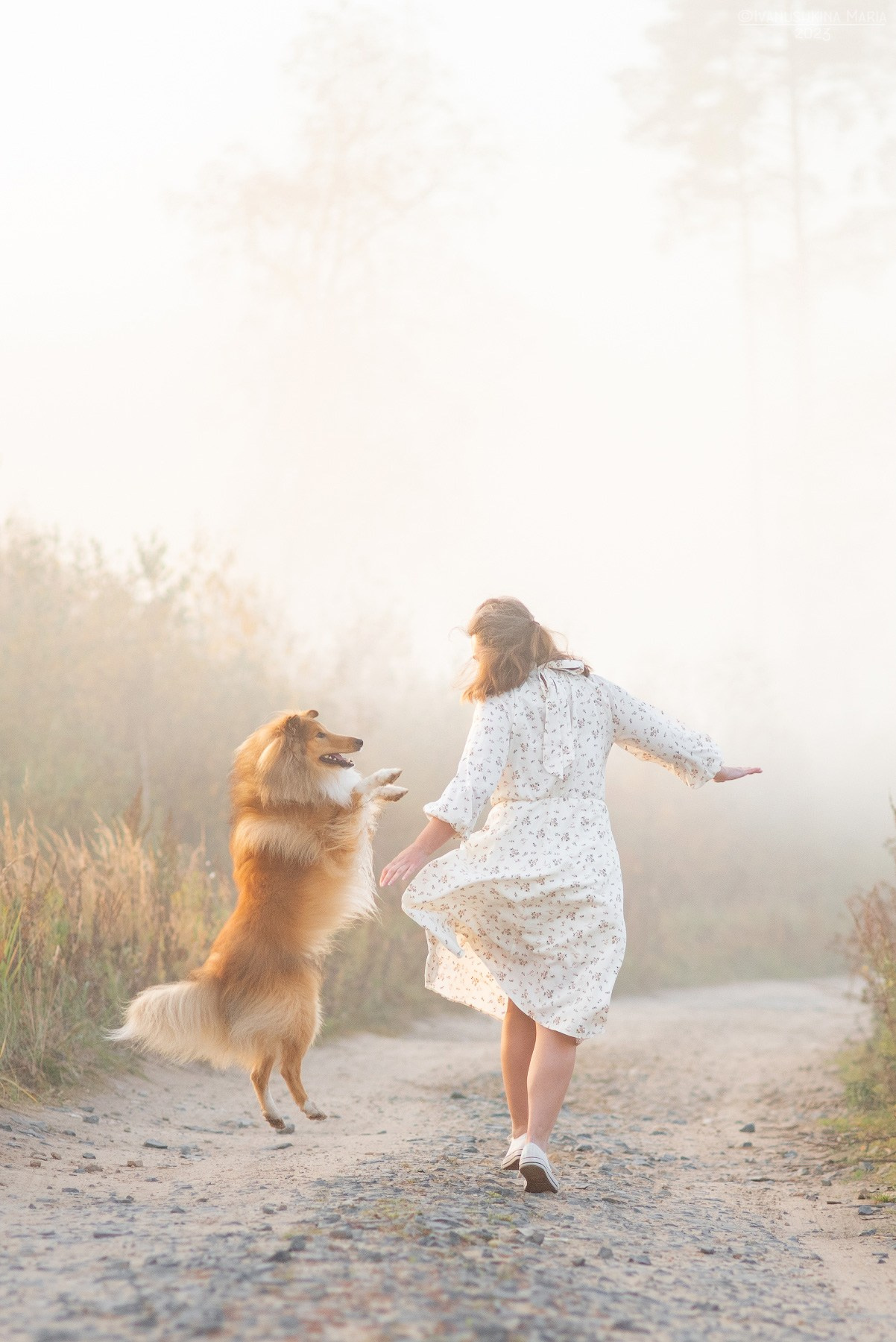 собака прыгает