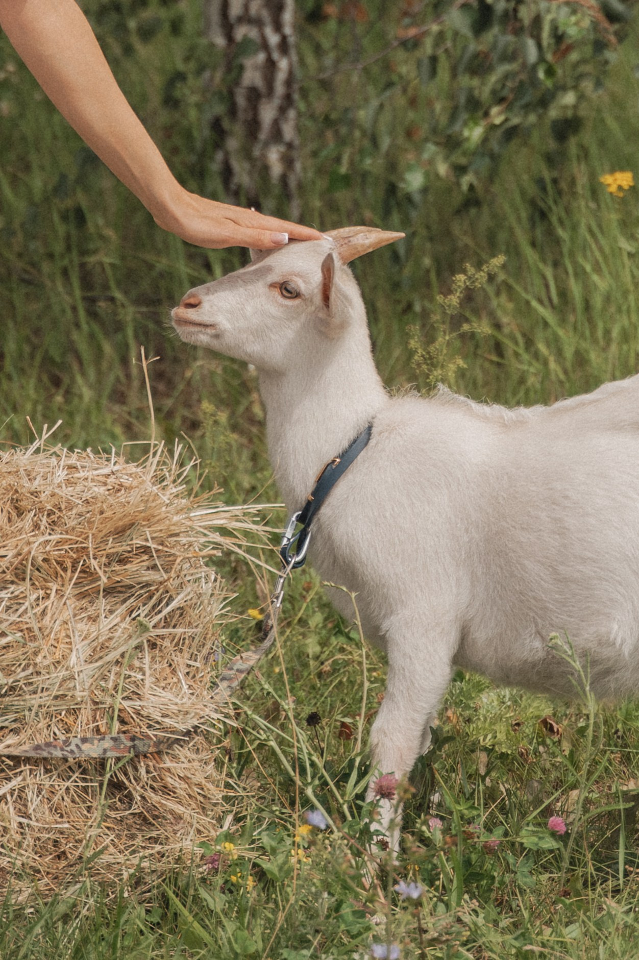 В саду. Свадебный фотограф в Рязани Дзюрак Елизавета