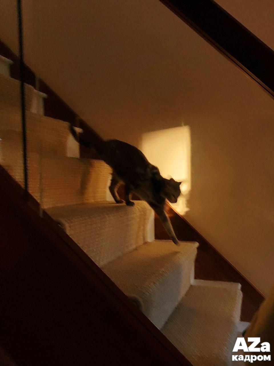 AZакадром «Что для меня дом». Женский семейный фотограф Тула Москва Захарова Анна