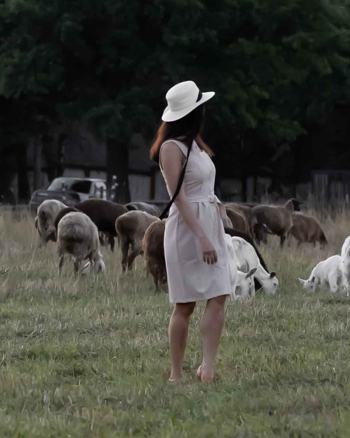 Фото с полевыми цветами. Портретный фотограф Екатерина Лысенко, Москва