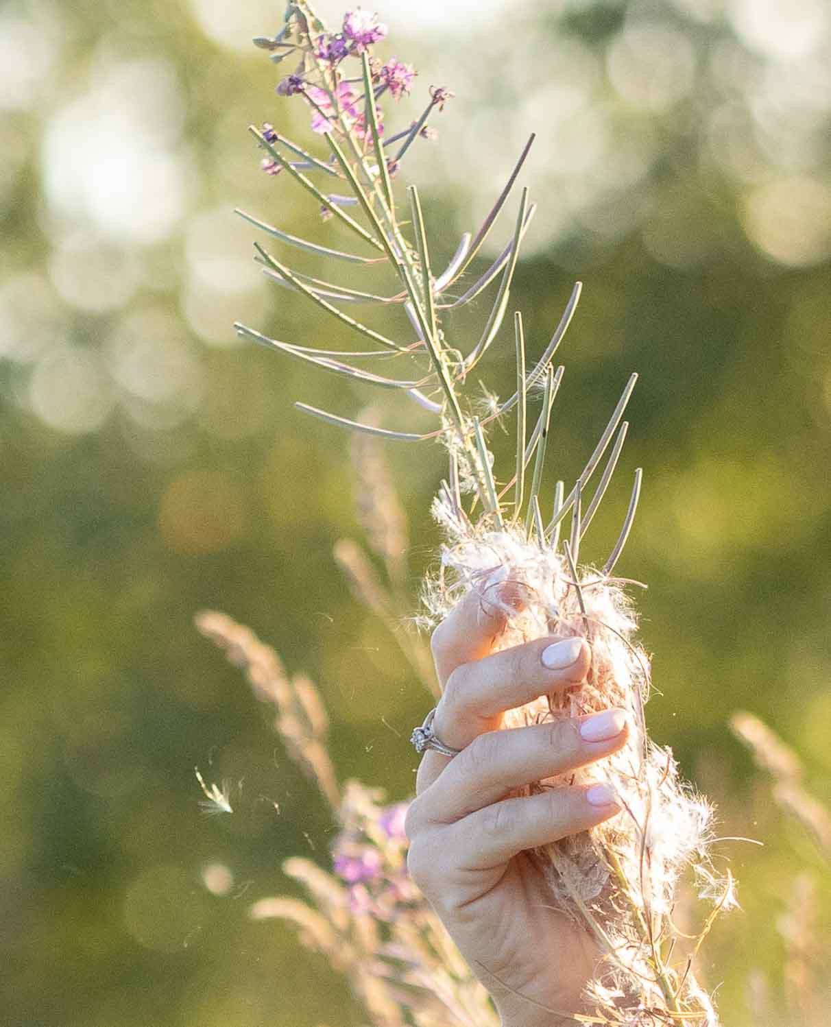 Фото с полевыми цветами. Портретный фотограф Екатерина Лысенко, Москва