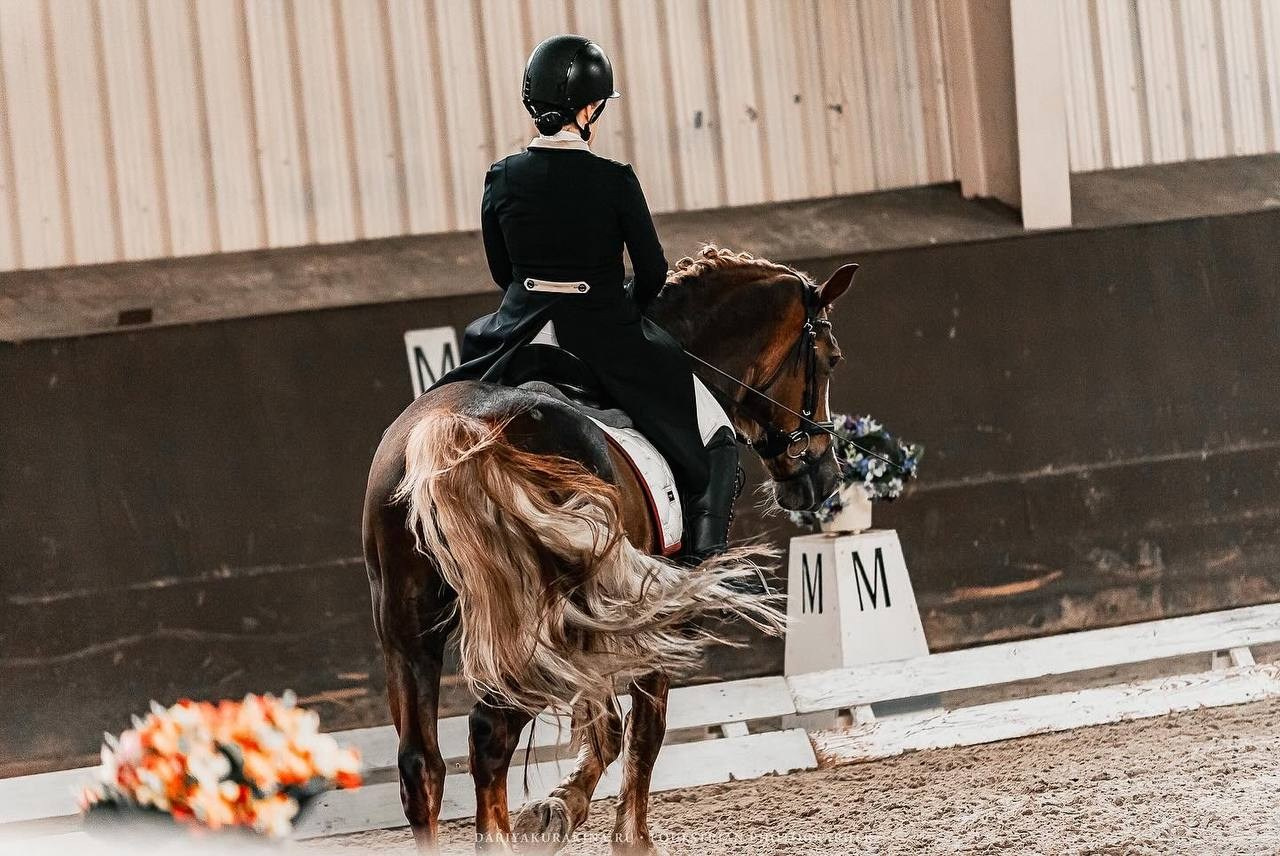 ВЕСЕННИЙ КУБОК КСК «УРОЖАЙ» по ВЫЕЗДКЕ на призы ФСОП «РОССИЯ», II этап. Конный фотограф Куракина Дарья • Фотосессии с лошадьми