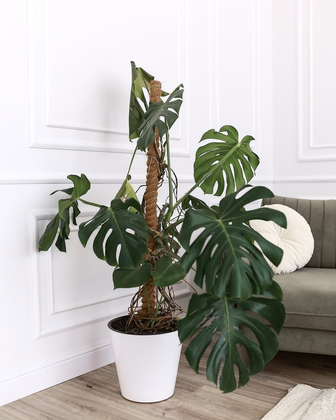 Фотостудия Persona. Понравилась студия? Напишите — организую съёмку именно здесь. Фотограф в Минске Людмила Дутко