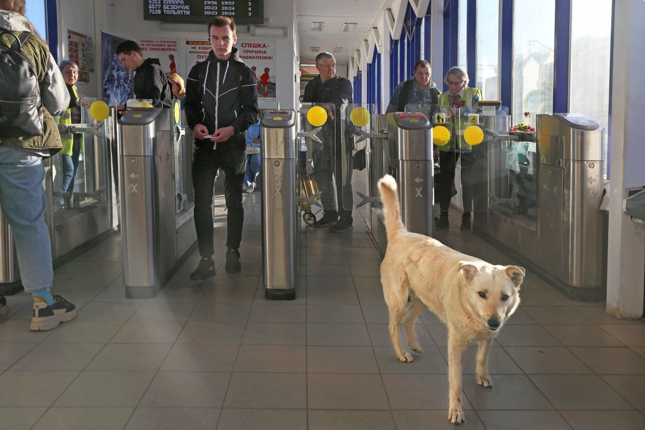 Афанасьева Екатерина. Фотообъединение Самарского областного отделения Союза журналистов России