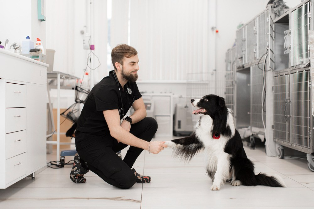 Рекламный и контент фотограф в СПб