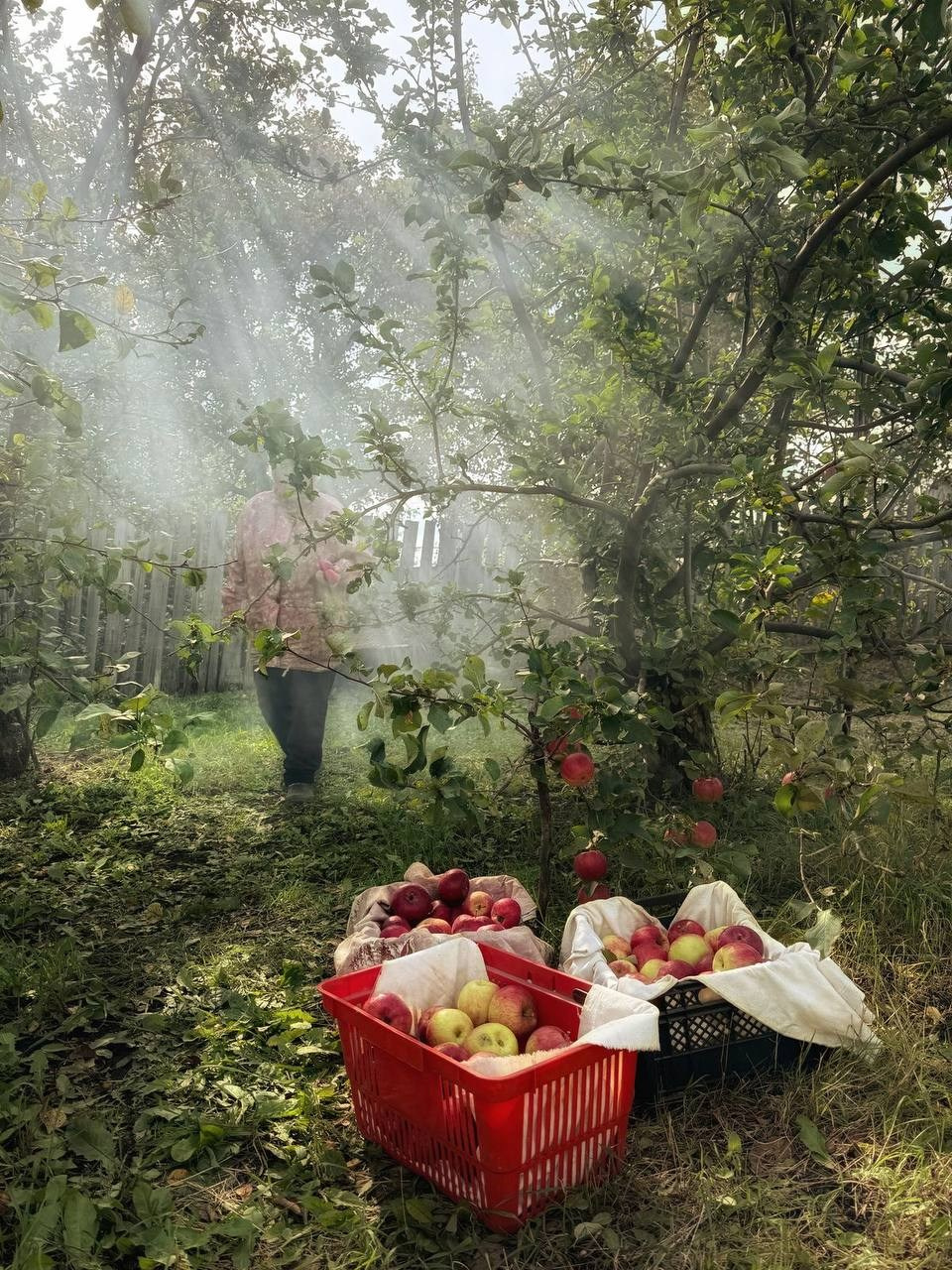 Челлендж «Свет решает все». Лучшие кадры. Женский семейный фотограф Тула Москва Захарова Анна