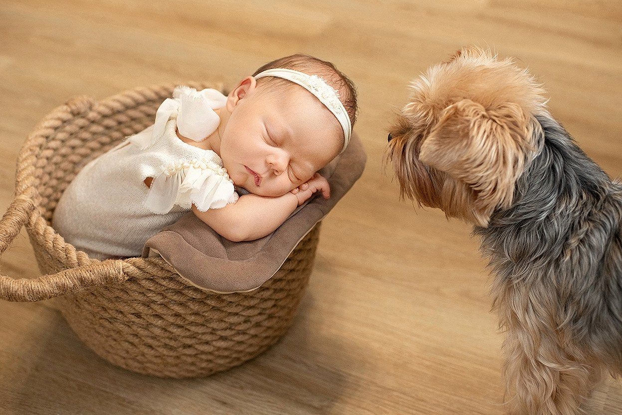 Newborn. Фотограф новорожденных в Екатеринбурге Татьяна Продан