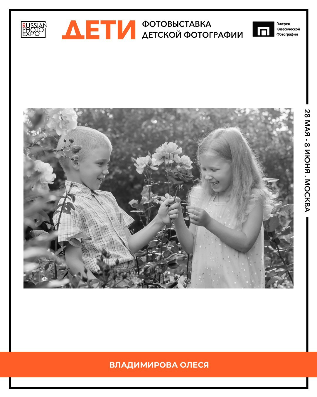 Фотовыставки с участием фотографа Владимировой Олеси. Портретный фотограф Олеся Владимирова в Москве