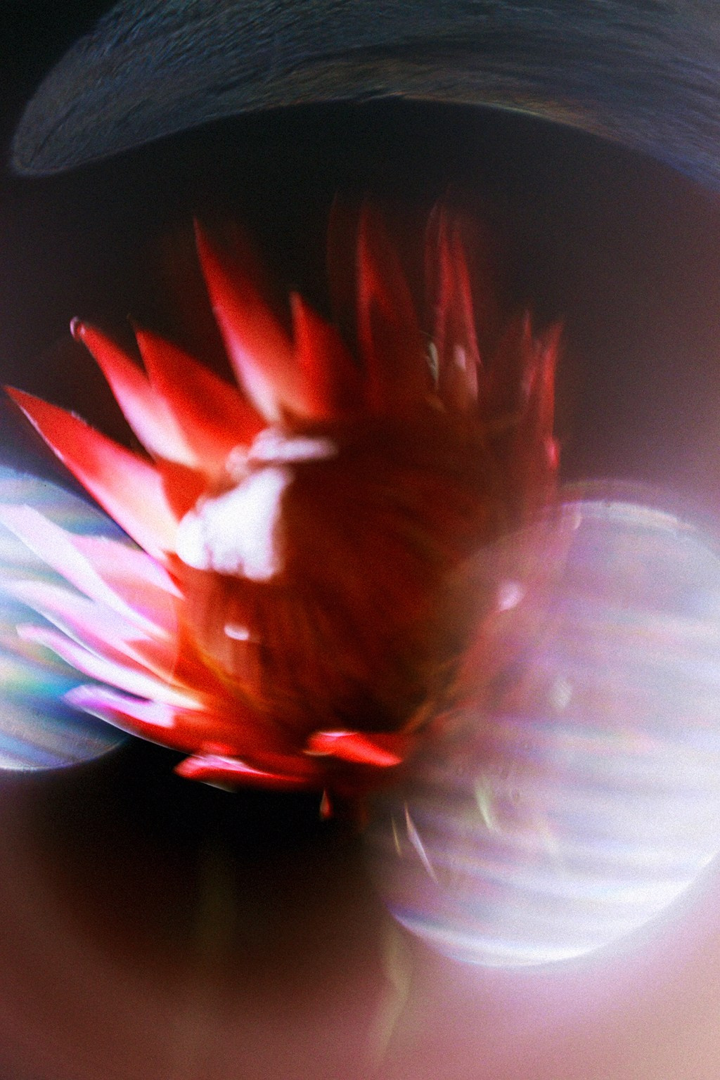 Красная нить. Фотокоуч Катерина Каледина