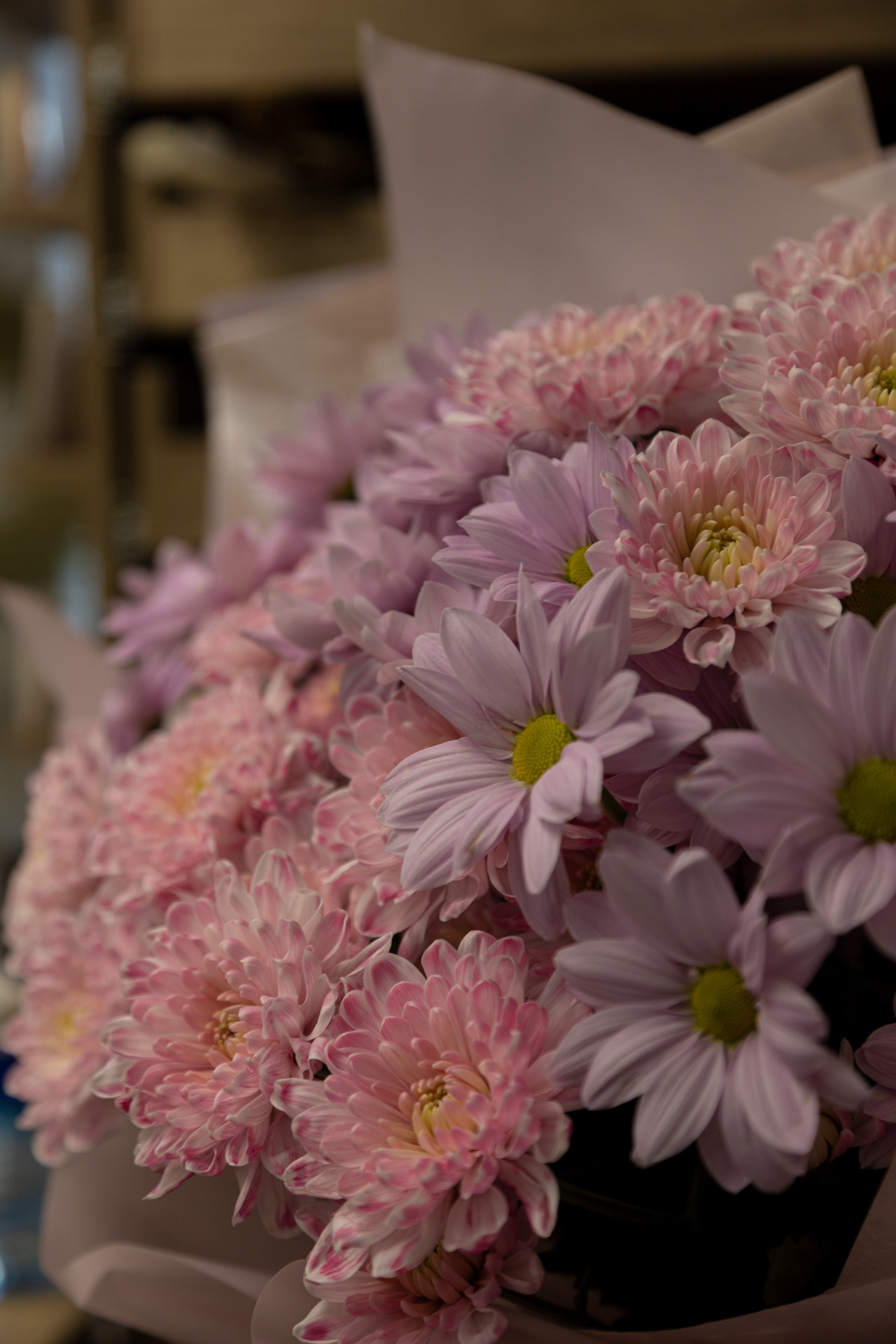 Клюква. Фотограф Князев Сергей