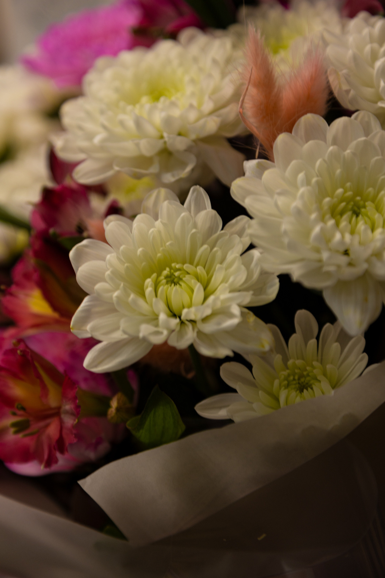 Клюква. Фотограф Князев Сергей