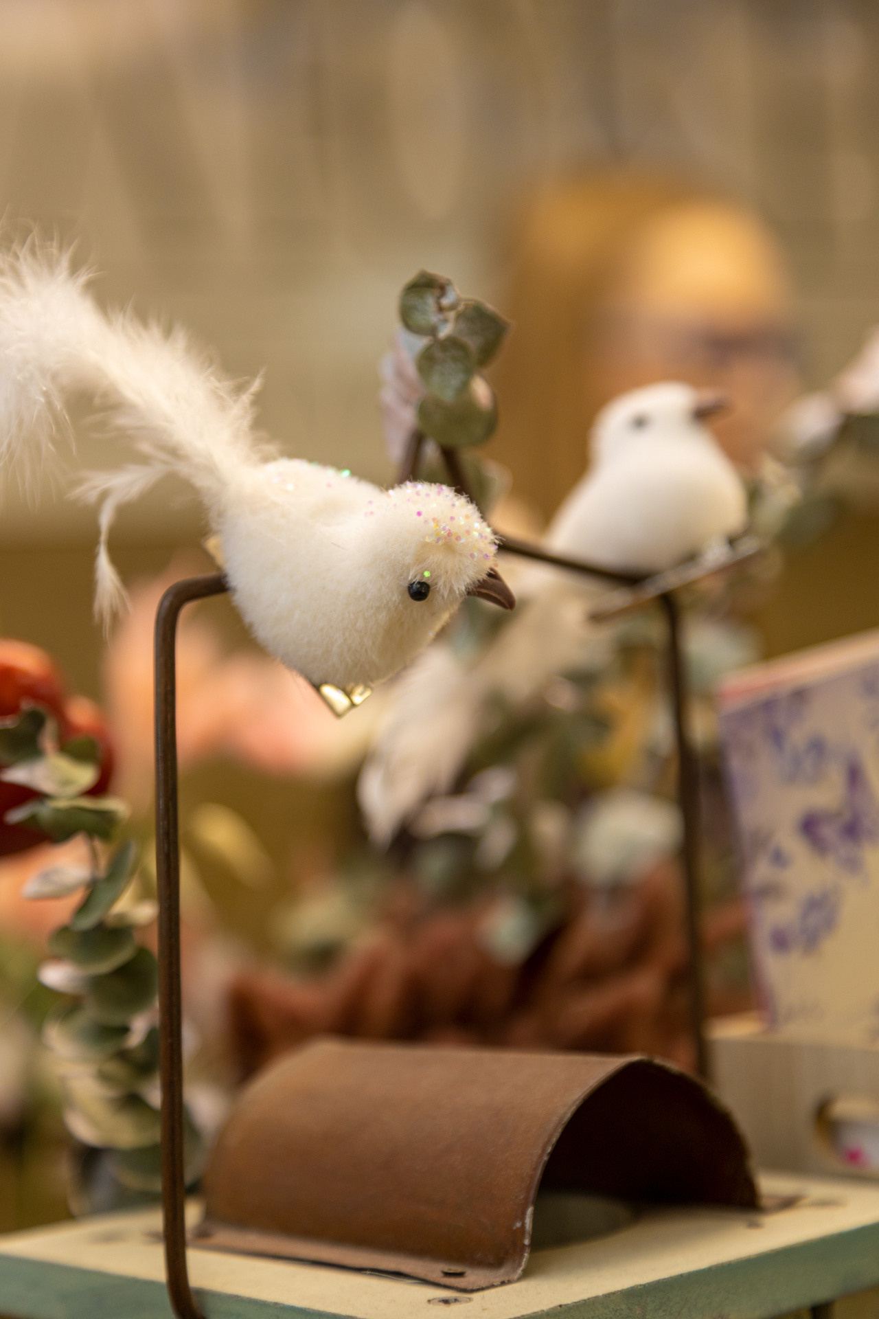 Клюква. Фотограф Князев Сергей