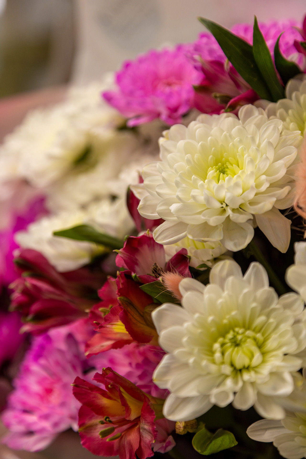 Клюква. Фотограф Князев Сергей