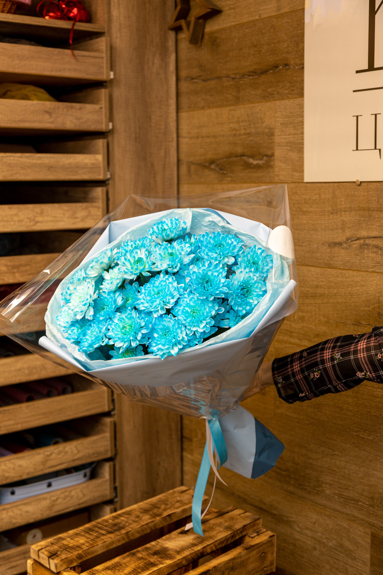 Клюква. Фотограф Князев Сергей