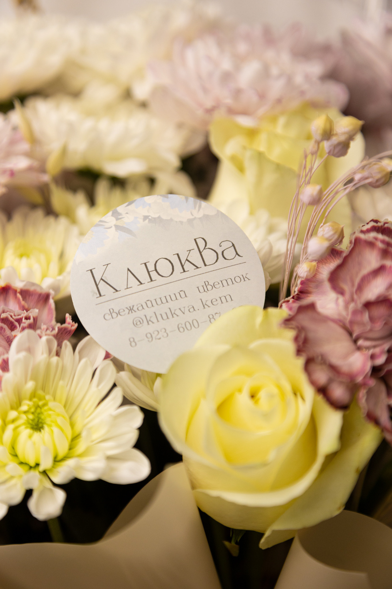 Клюква. Фотограф Князев Сергей