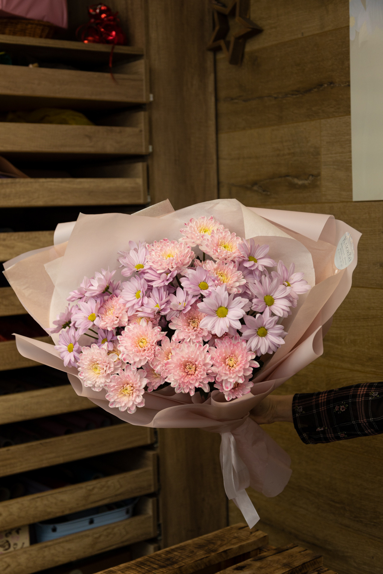 Клюква. Фотограф Князев Сергей