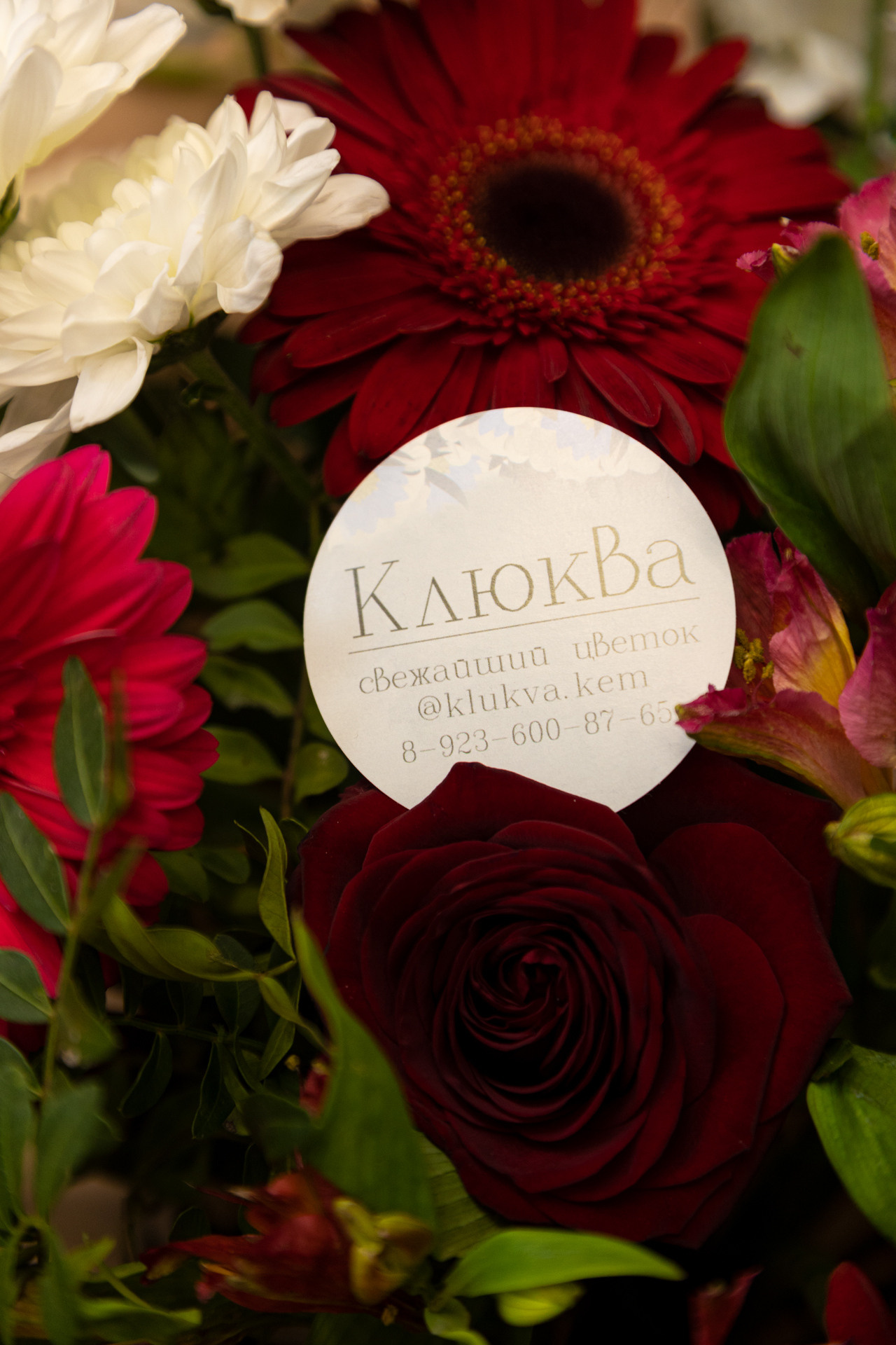 Клюква. Фотограф Князев Сергей