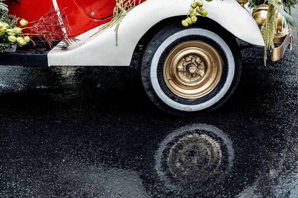 Репортажная съемка Международного фестиваля цветов 2018. Свадебный фотограф СПБ Михаил Песиков