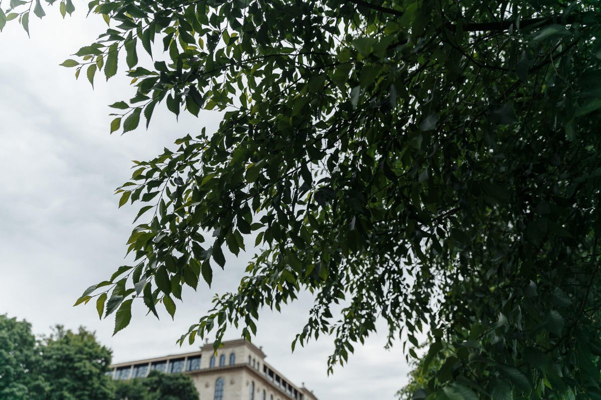 Репортажная съемка Международного фестиваля цветов 2018. Свадебный фотограф СПБ Михаил Песиков