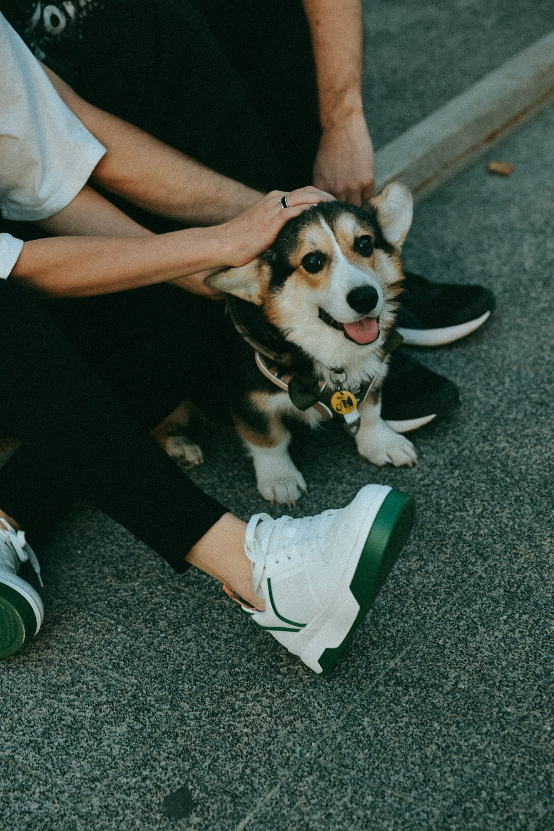 Олег Юля и Арчи. Фотограф Нижний Новгород