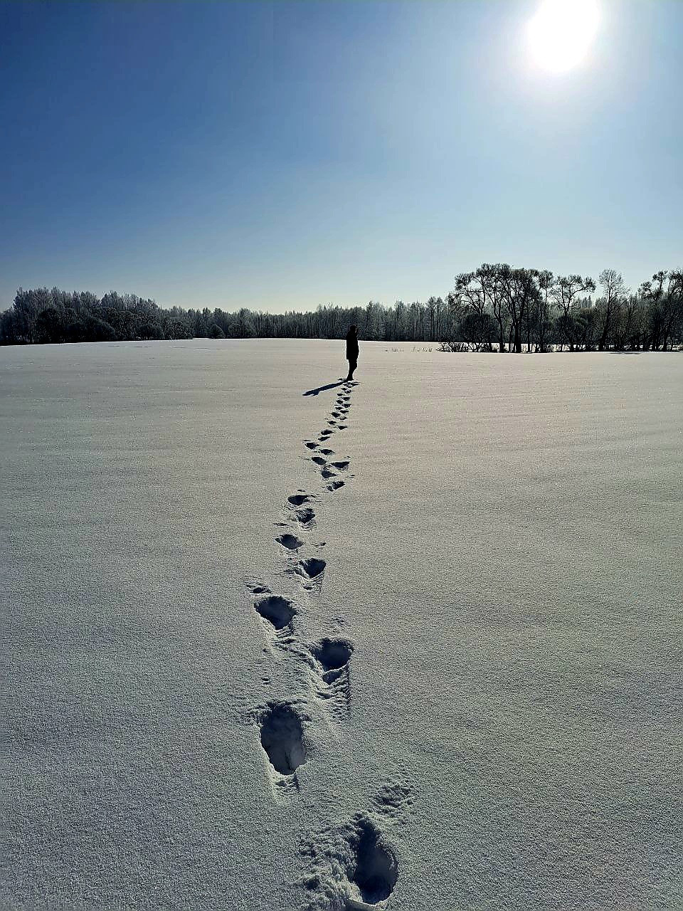 Люди, дети... теперь тишина и поле...