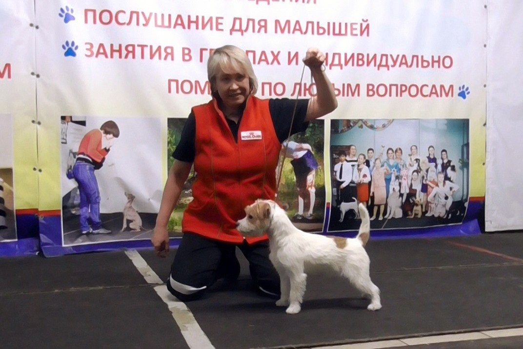 Port Fortis Happy Peppy