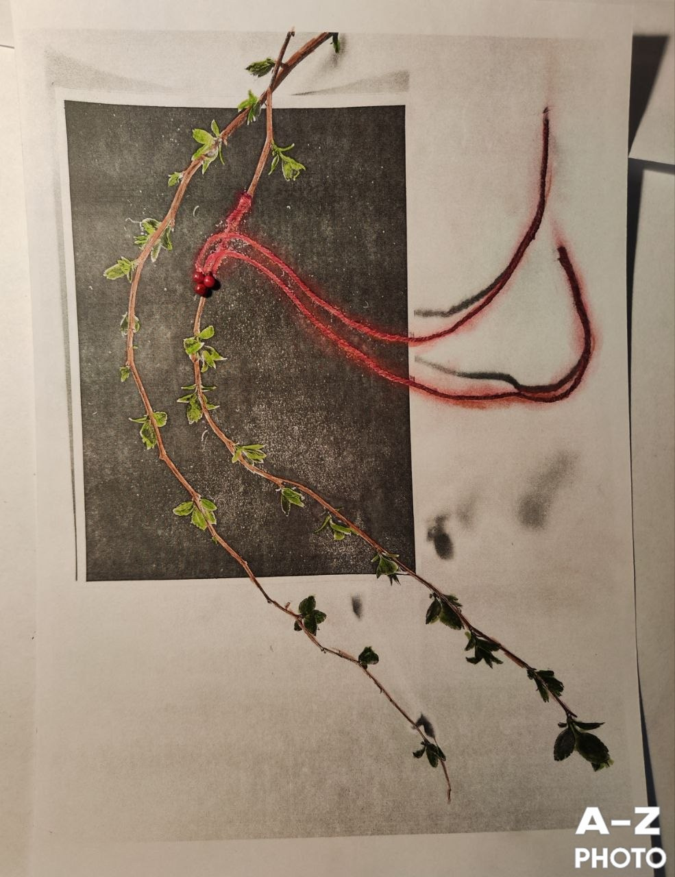 #ФОТОНЕДЕЛИ 20.04.2026. Женский семейный фотограф Тула Москва Захарова Анна