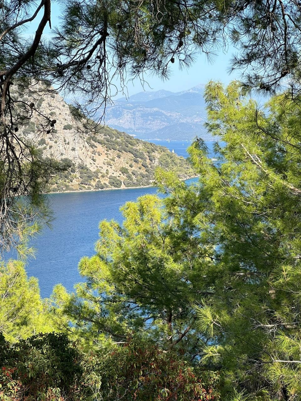 Яхтинг осень 2024. Профессиональная фотосъемка. Ростов-на-Дону