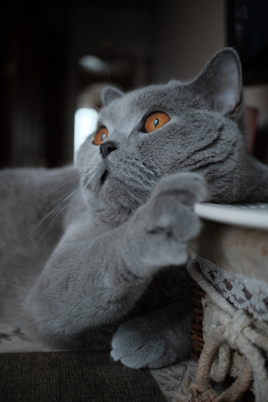 Улица, люди, жизнь…