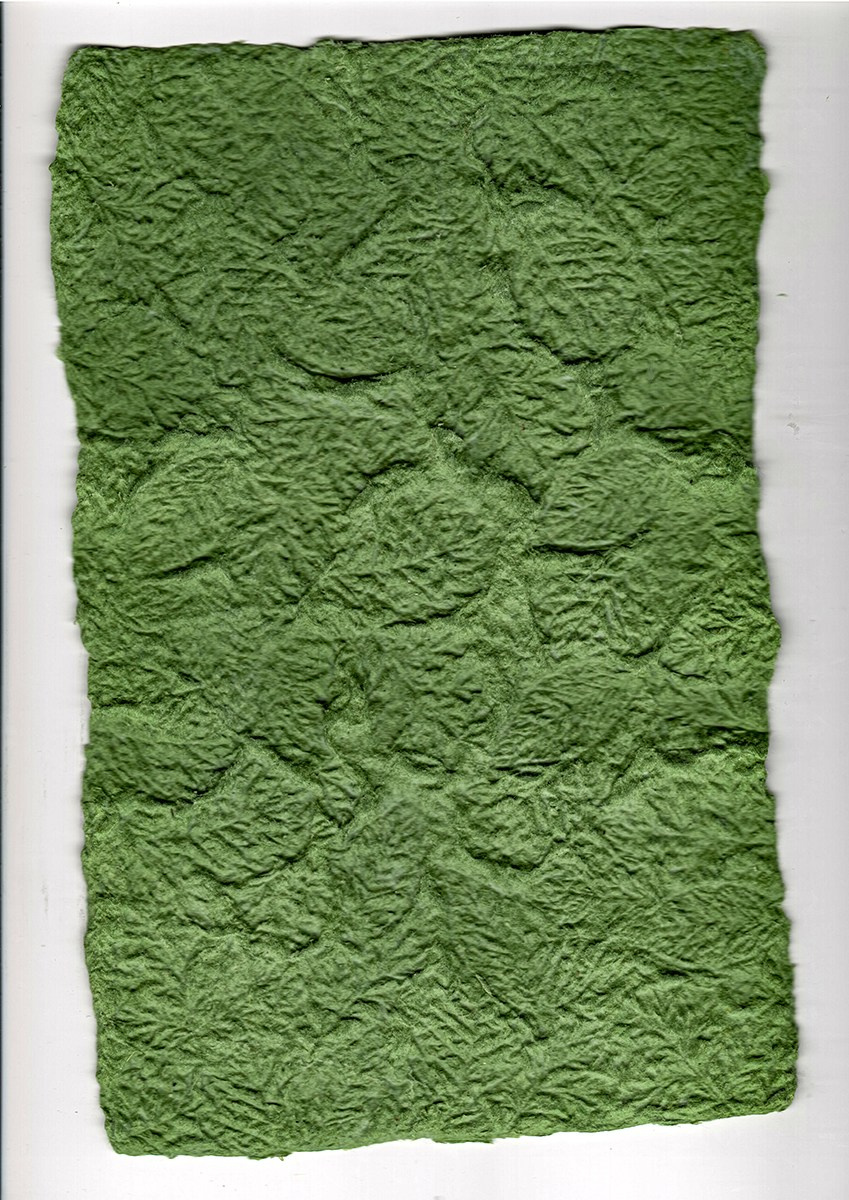 Terra Incognita. Неизвестная земля. Художник Екатерина Старовойтова