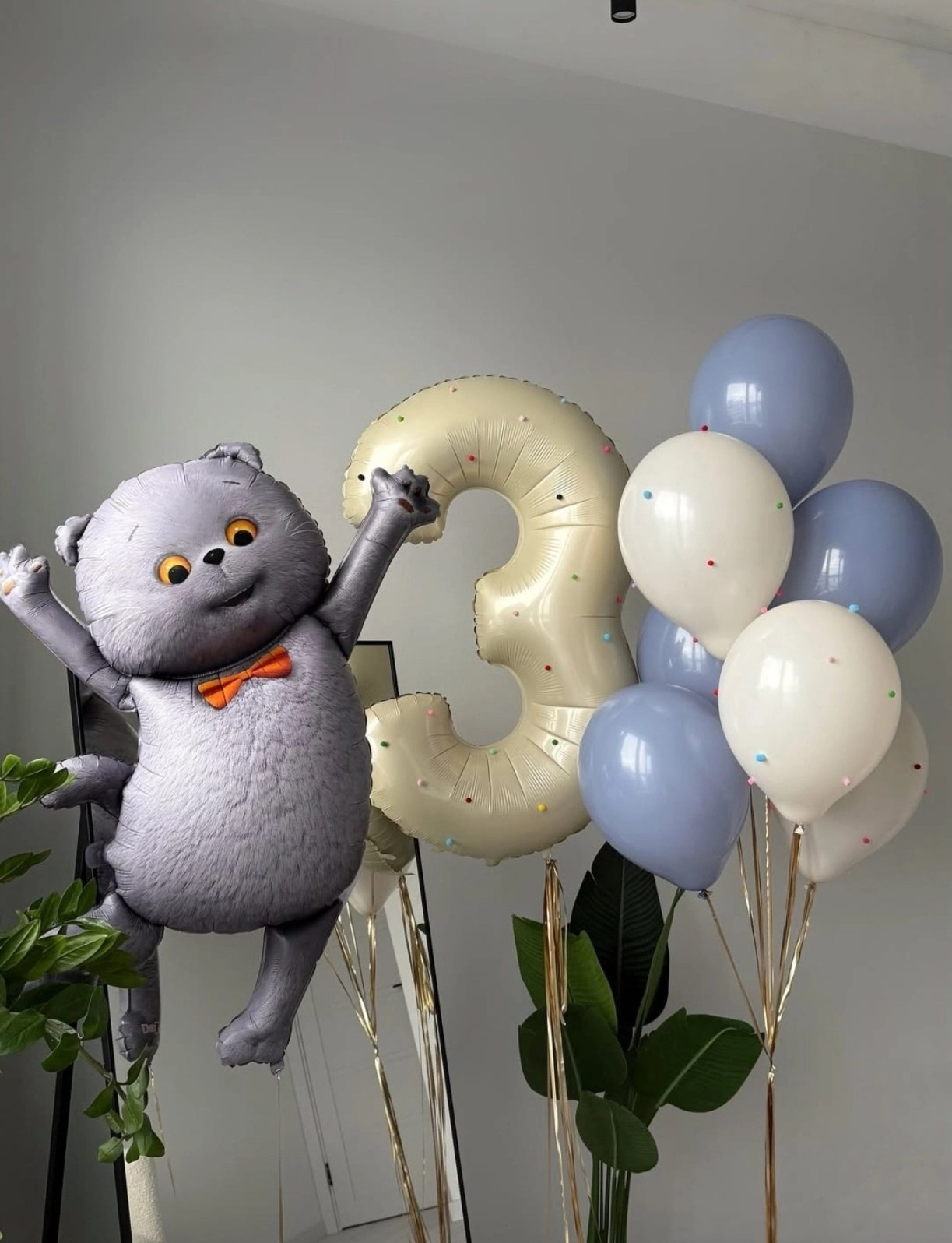 Мальчику на день рождения с 4 -17 лет. Аэродизайнер Елена Лин