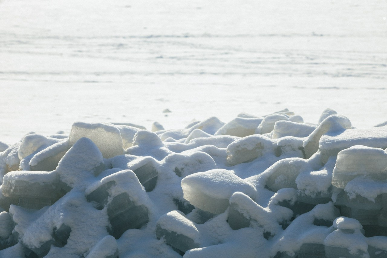 Отзывы. Фотограф katya_vkadre Таганрог